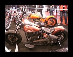 Custombike 2011 (41)